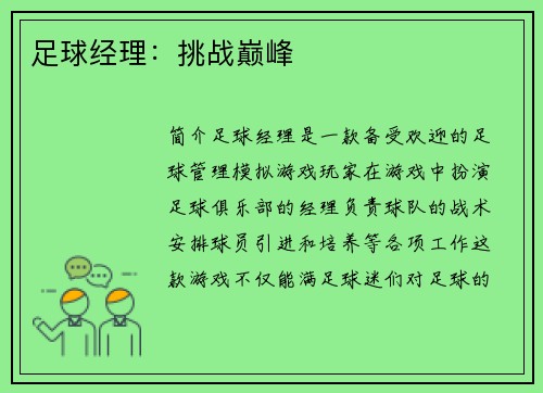 足球经理：挑战巅峰